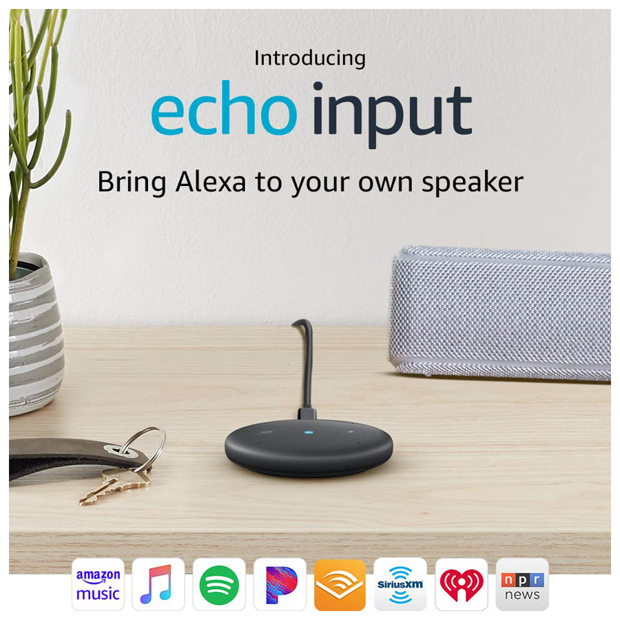 Alexa best sale echo input